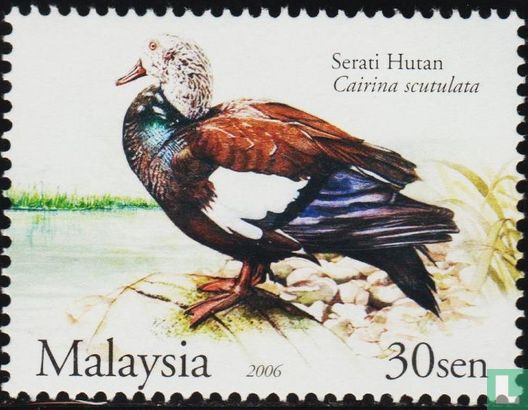 Canards