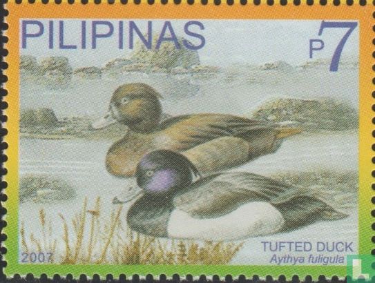 Canards