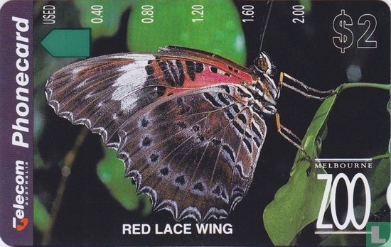 Red Lace Wing Butterfly - Bild 1