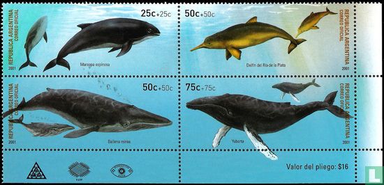 Dolfijnen en walvissen