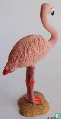 Flamingo - Afbeelding 2