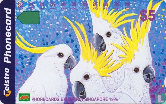 Singapore Cockatoo - Afbeelding 1