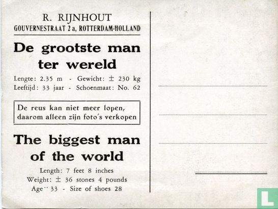 Rigardus Rijnhout - Image 2
