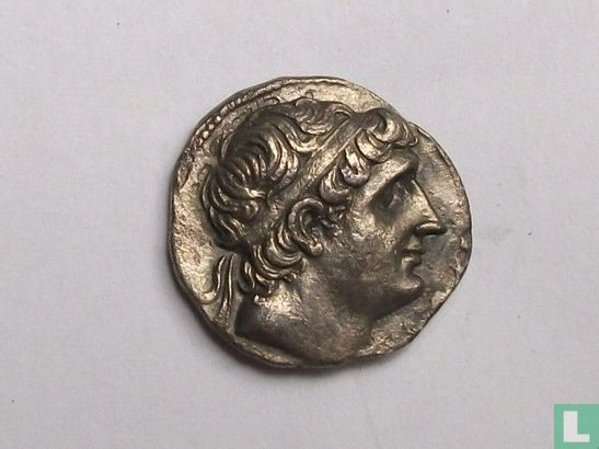 Oude Griekenland. Syrië - Koninkrijk SELEUCIDISCHE - Antiochus I Soter. (281-261 v.Chr.) - AR drachme - Seleucia, Babylonië - (VF + / EF)-zeldzame (R2). - Afbeelding 1
