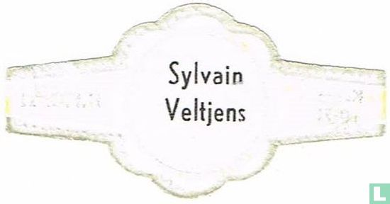 Sylvain Veltjens - Afbeelding 2