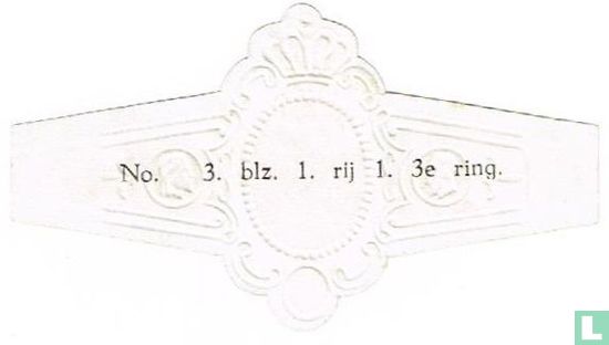 Jasneva nr. 3 blz. 1. 3e ring. - Afbeelding 2