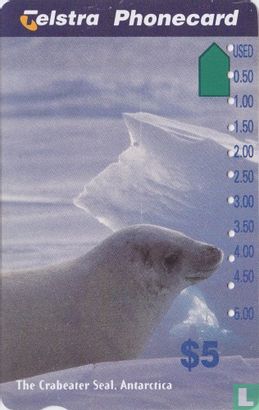The Crabeater Seal - Afbeelding 1