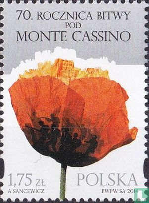 70 jaar slag om Monte Cassino