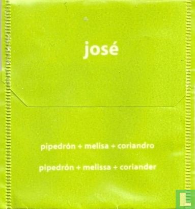 pipedrón + melisa + coriandro - Afbeelding 2