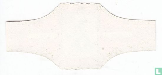 Kreuzzügler ( - Bild 2