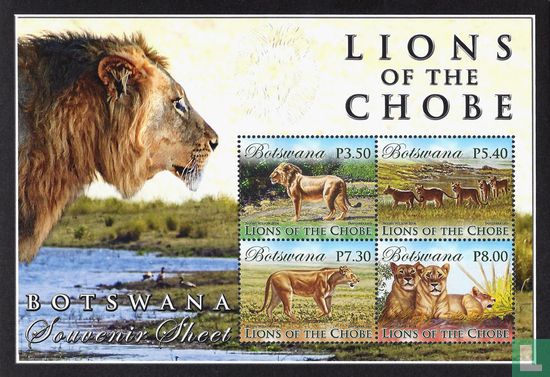 Lions of the Chobe
