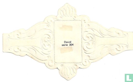 David - Image 2