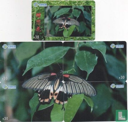 Butterfly Puzzel - Afbeelding 3