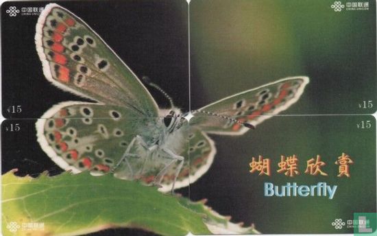 Butterfly puzzel - Afbeelding 3