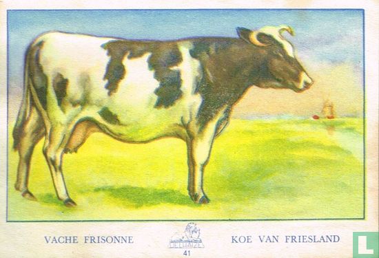 Vache Frisson - Koe van Friesland