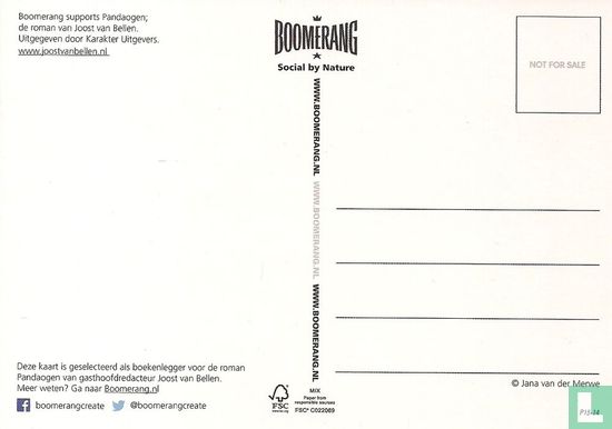 B140148 - Boomerang supports Pandaogen 'Mascara-borsteltje' - Image 2
