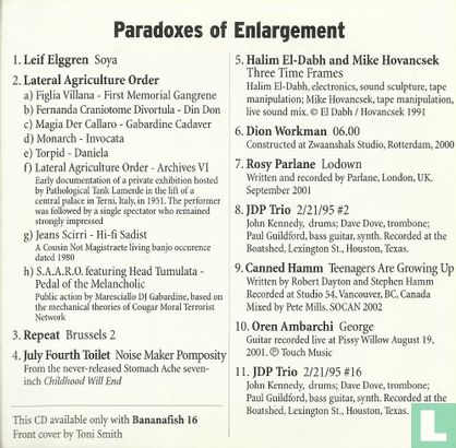 Paradoxes of Enlargement - Afbeelding 2