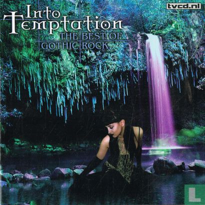 Into Temptation - The Best of Gothic Rock - Image 1
