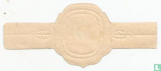 Zifat Zigarren - Image 2