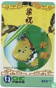Butterfly Puzzel - Image 1