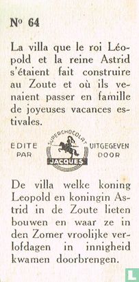 64 - Bild 2