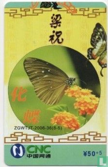 Butterfly Puzzel - Afbeelding 1
