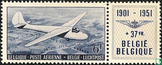 Segelflugzeug Type "Air 100" 