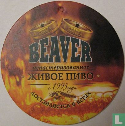 Beaver - Image 1