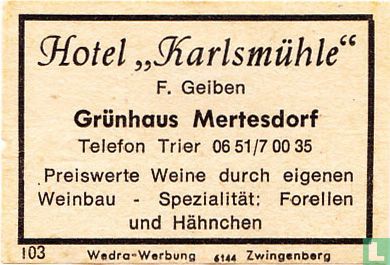 Hotel "Karlsmühle" - F. Geiben