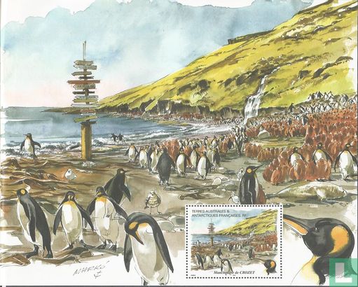 Penguin Colony on Crozet - Image 2