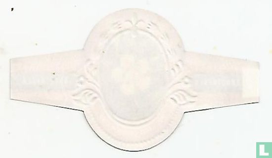 Hemerocallis Mikado - Image 2