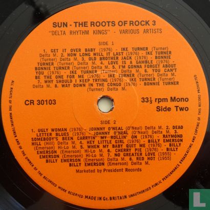 Sun: The Roots of Rock 3, Delta Rhythm Kings - Afbeelding 3