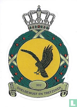 302 Squadron