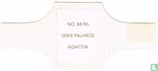 Hoatzin - Image 2