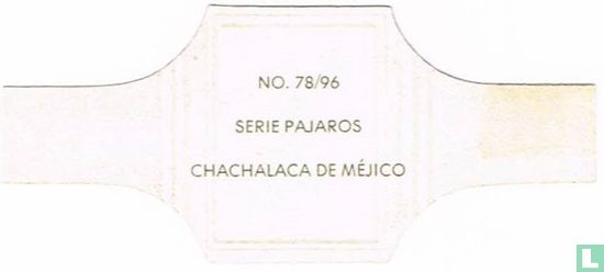 Chachalaca the Méjico - Image 2