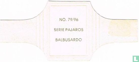 Balbusardo - Image 2