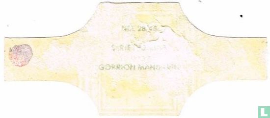 Gorrion Mandarin - Afbeelding 2