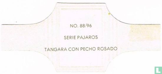 Tangara Con Pecho Rosado - Image 2