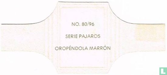 Oropéndola Marrón - Image 2