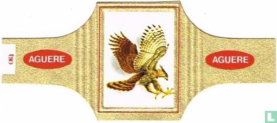 Aguila Coronado - Image 1