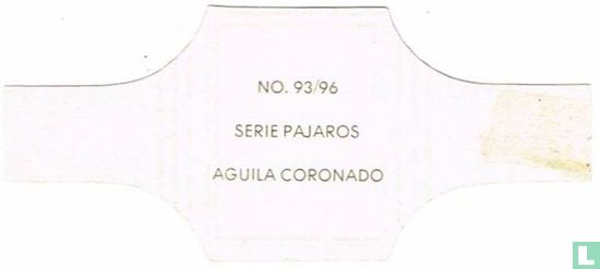 Aguila Coronado - Image 2