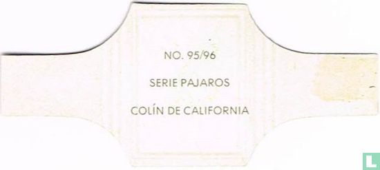 Colin California - Image 2