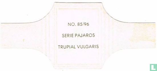Trupial Vulgaris - Image 2