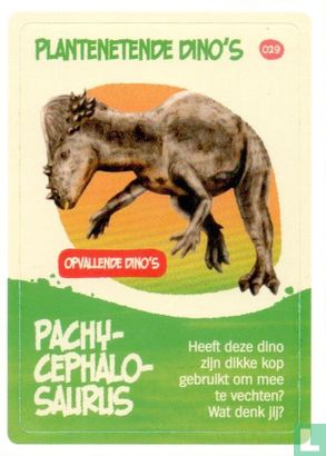 Pachycephalosaurus - Afbeelding 1
