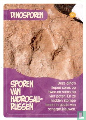 Sporen van Hadrosaurussen - Afbeelding 1