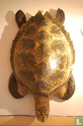 Schildpad kunststof