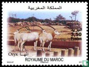 Zoo of Rabat