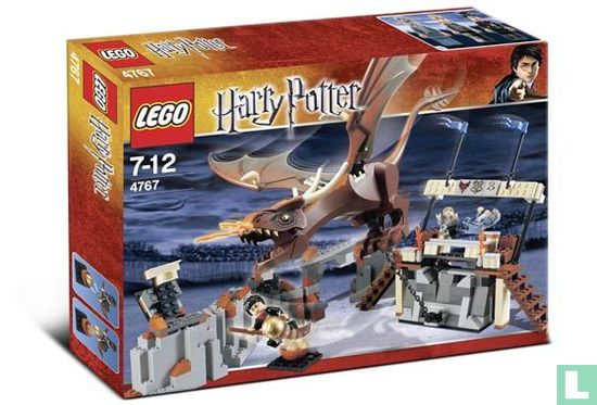 Lego 4767 Harry and the Hungarian Horntail