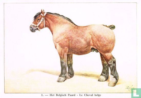 Het Belgisch Paard - Afbeelding 1