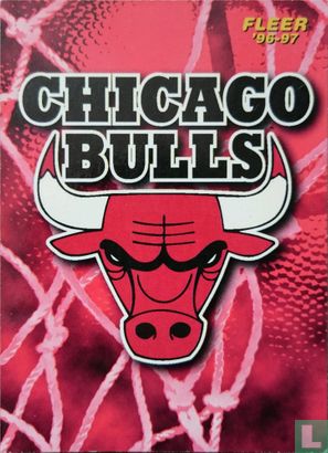 Chicago Bulls - Bild 1